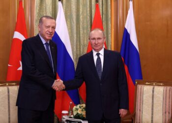 ترکیہ اور روس کے مابین تجارت روبل کرنسی میں ہو گی، صدر ایردوان